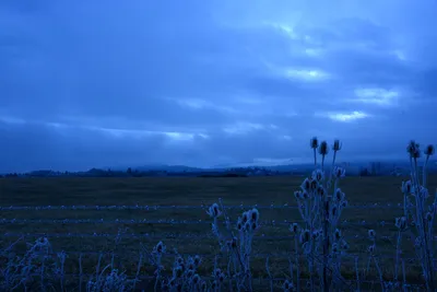 DSC_1099 (Large).JPG